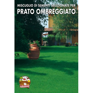 Prato Ombreggiato