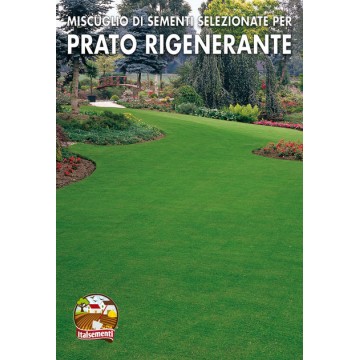 Prato Rigenerante