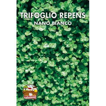 Clover Repens Nano