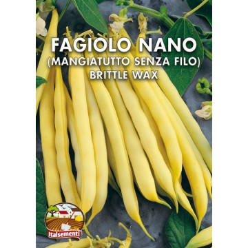 Fagiolo Nano Senza Filo Brittle Wax