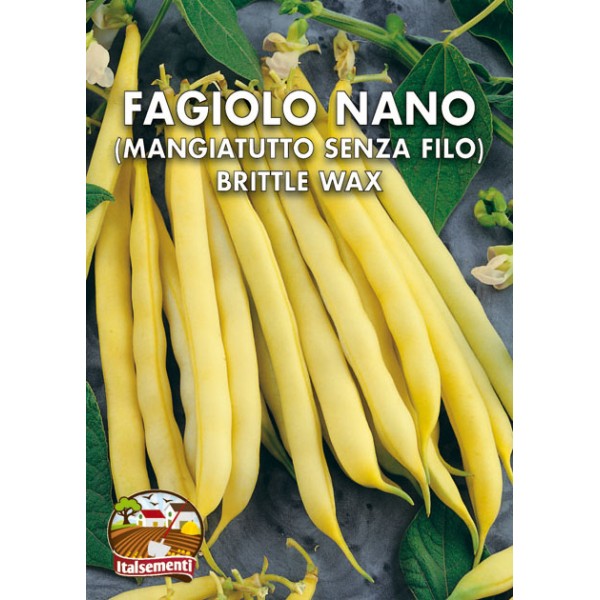 Fagiolo Nano Senza Filo Brittle Wax Fagiolo Nano Senza Filo Brittle Wax