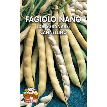 Fagiolo Nano Cannellino