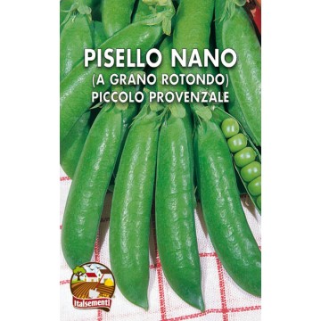 Pisello Nano Piccolo Provenzale