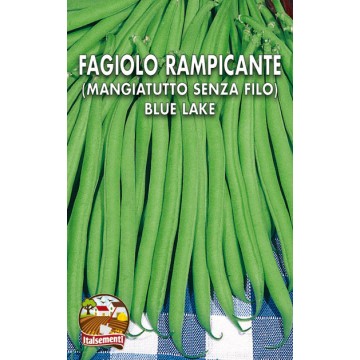 Fagiolo Rampicante Senza Filo Blue Lake