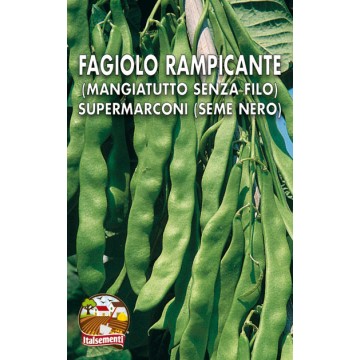 Fagiolo Rampicante Supermarconi Seme Nero