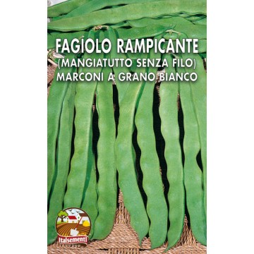 Fagiolo Rampicante Marconi Seme Bianco