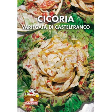 Cicoria Variegata di...