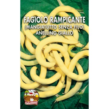 Fagiolo Rampicante Anellino Giallo