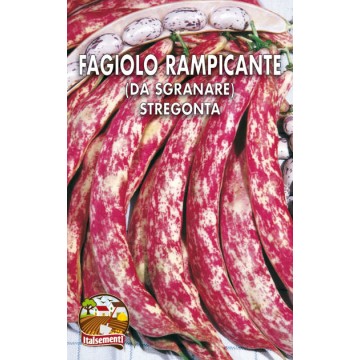 Fagiolo Rampicante Stregonta o Fiamma