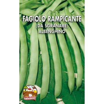 Fagiolo Rampicante Albenghino