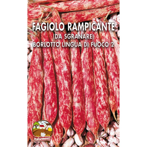 Fagiolo Rampicante Borlotto Lingua di Fuoco Fagiolo Rampicante Borlotto Lingua di Fuoco