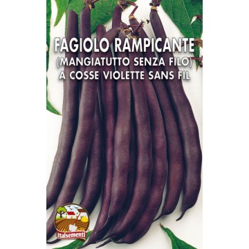 Fagiolo Rampicante Trionfo Violetto