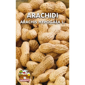 Arachide