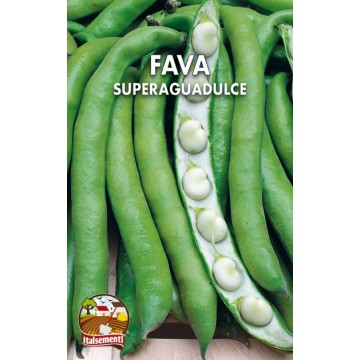 Fava Superaguadulce (Italia)