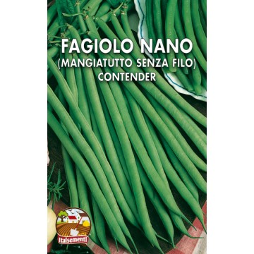 Fagiolo Nano Senza Filo Contender