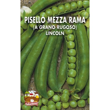 Pisello Mezza Rama Lincoln