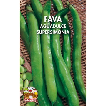 Fava Aguadulce Supersimonia (Italy)