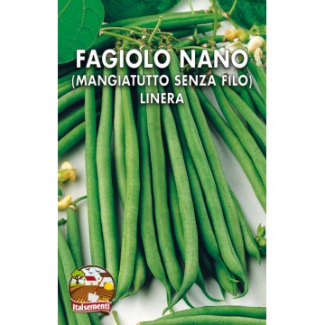 Fagiolo Nano Linera