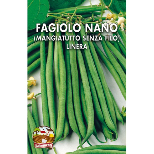 Fagiolo Nano Linera Fagiolo Nano Linera