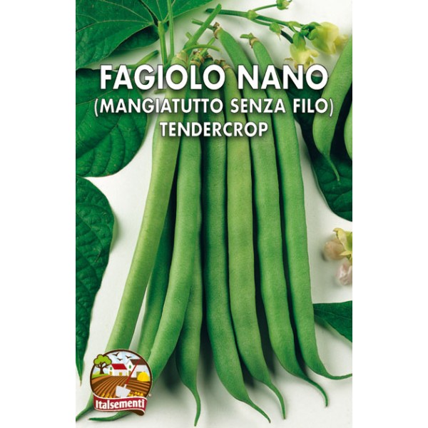 Fagiolo Nano Tendercrop