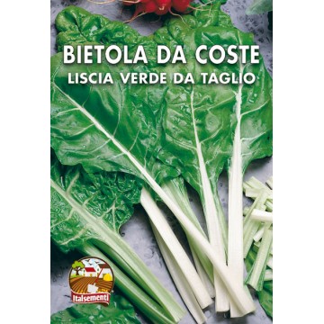 Bietola da Coste Liscia Verde da Taglio