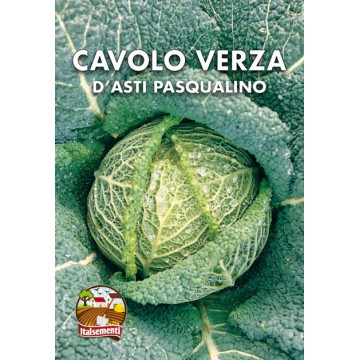 Cavolo Verza d'Asti Pasqualino