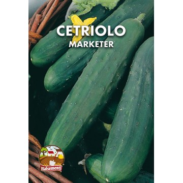 Cetriolo Marketer