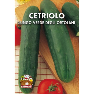 Green Long Cucumber from Ortolani