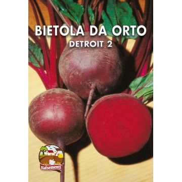 Bietola da Orto Detroit 2