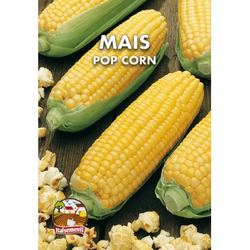 Mais dolce in grani - Whole Kernel Sweet Corn - Products - Menù srl - Dal  1932 Produttori Specialità Alimentari