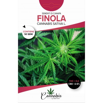 FINOLA - 50 Semi Certificati-CBS-ITALSEMENTI s.n.c.