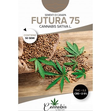 FUTURA 75 - 50 Certified Seeds