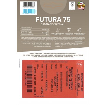 FUTURA 75 - 50 Certified Seeds