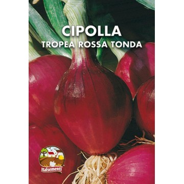 Tropea Rossa Tonda Onion