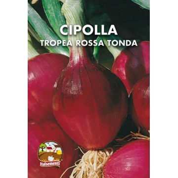 Cipolla di Tropea Rossa Tonda