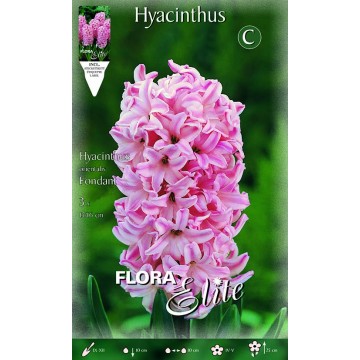 Hyacinth Fondant