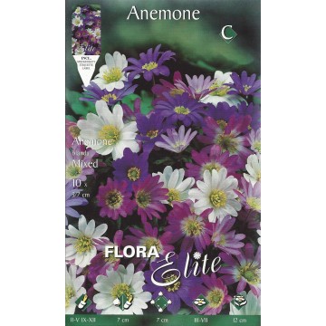 Blanda anemones