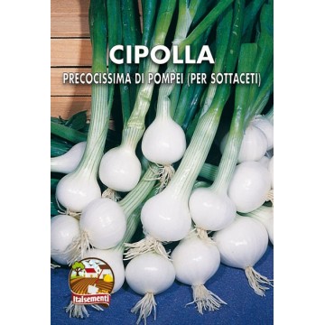 Precocissima onion from...