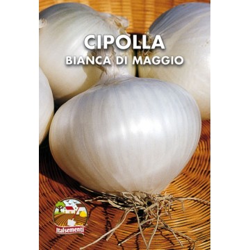 Cipolla Bianca di Maggio