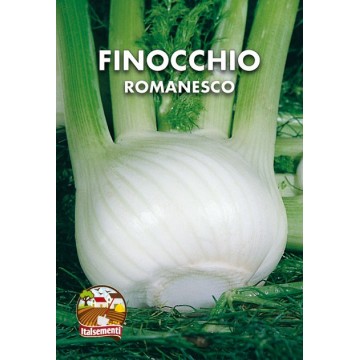 Fennel of Romagna