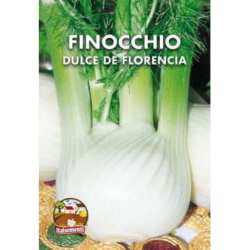 Fenchel Dulce de Florencia