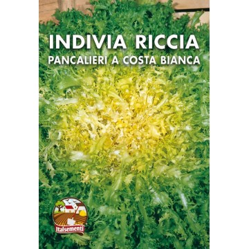 Indivia Riccia Pancalieri a...