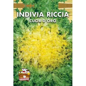 Indivia Riccia Cuor d'Oro