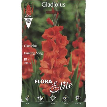 Gladioli Hunting Song
