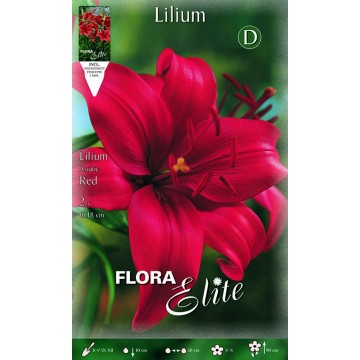 Red Asian Lilium