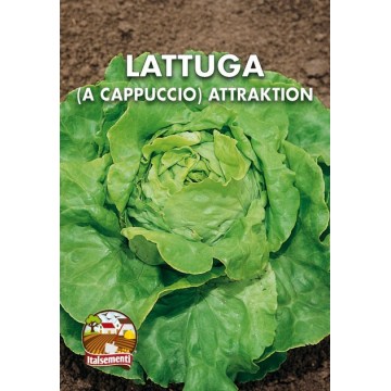 Lettuce Cap Attraction