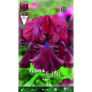Iris Rot Iris