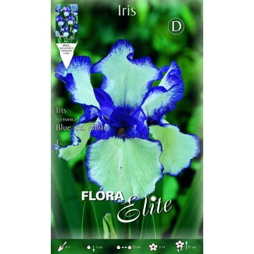 Iris Iris, Blau Weiß