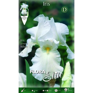 Iris Iris Blanc Iris