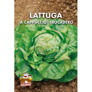 Trocadero Lettuce